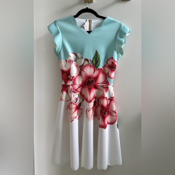 Ted Baker designer midi dress size small - Picture 1 of 10